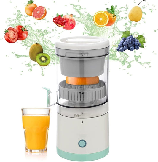 Automatic Cold Press Fruit Squeezer